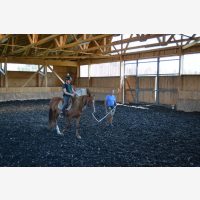 Curs FREE HORSE STYLE kurzus
